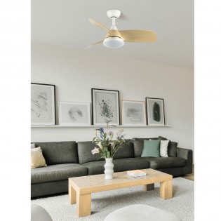 LED Ceiling Fan Atomo CCT (24W)