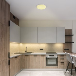Plafón de techo LED Ara IP44 (40W)