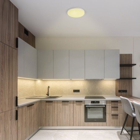 Plafón de techo LED Ara IP44 (40W)