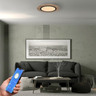 LED Ceiling Flush Light Hasbi CCT Smart (20W)