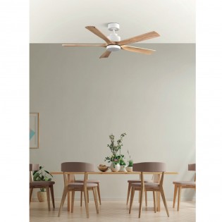 Ventilador de techo LED Cairo Haya CCT (24W)