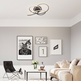 Plafón de techo LED Panda (30W)