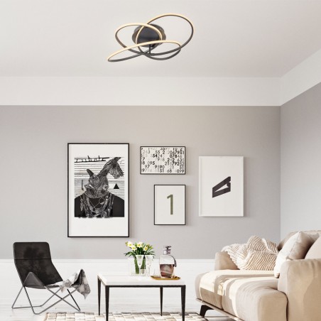 LED Ceiling Flush Light Panda (30W)