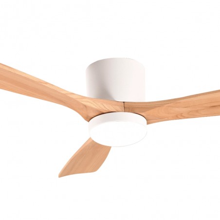 LED Ceiling Fan Celestine CCT (18W)