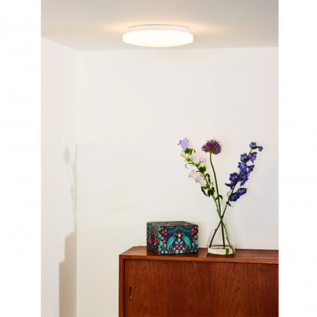 Plafón de techo LED Otis Redondo (14W)