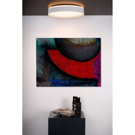 LED Ceiling Flush Light Nuria 3-Step Dim (24W)