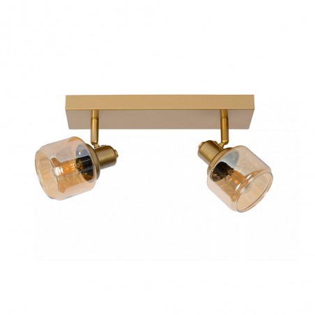 Ceiling Track Lamp Bjorn (2 lights)