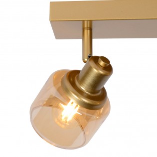Ceiling Track Lamp Bjorn (2 lights)