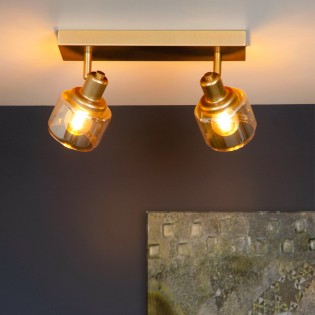 Ceiling Track Lamp Bjorn (2 lights)
