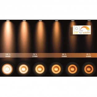 LED Ceiling Track Light Grony (2x5W)