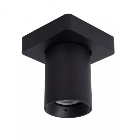 LED Ceiling spotlight Nigel (5W)