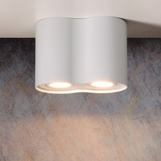 Ceiling Flush Light Tube (2 lights)