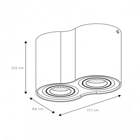Ceiling Flush Light Tube (2 lights)
