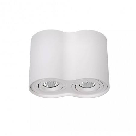 Ceiling Flush Light Tube (2 lights)