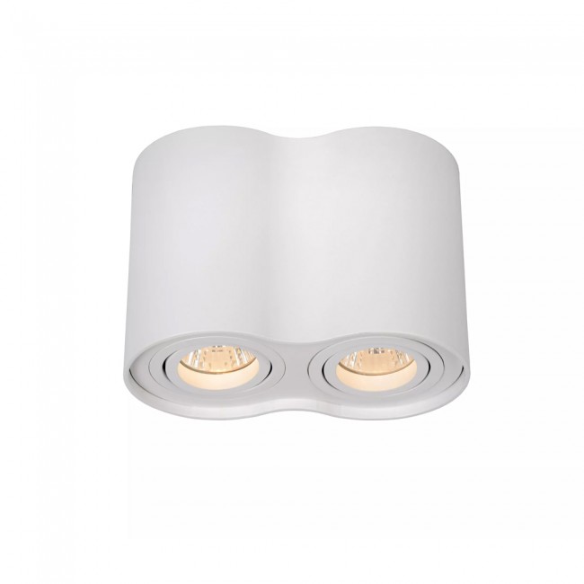 Ceiling Flush Light Tube (2 lights)