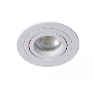 Tilting recessed light Tube