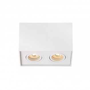 Ceiling Flush Light Tube II (2 lights)
