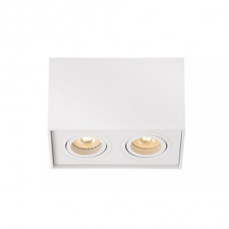 Ceiling Flush Light Tube II (2 lights)