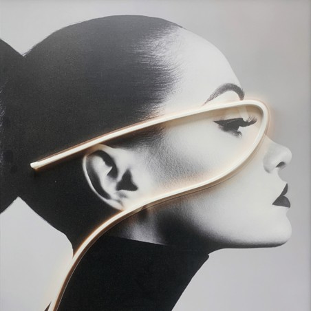 Cuadro con luz LED Ledart 120x80cm. (18W)