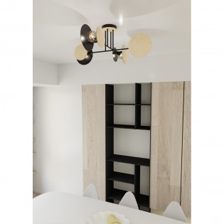 Ceiling Flush Light Olante Black (4 lights)