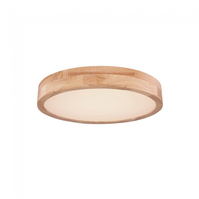 Plafón de techo LED Rainer (24W)