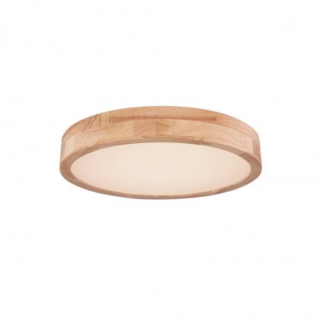 Plafón de techo LED Rainer (24W)