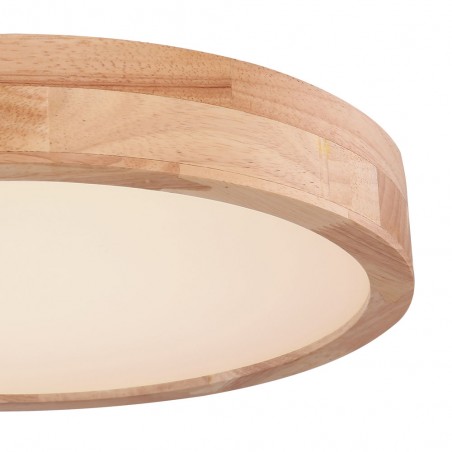 Plafón de techo LED Rainer (24W)