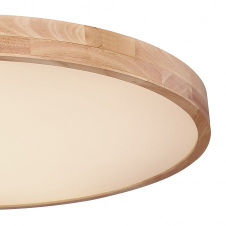 Plafón de techo LED Rainer (60W)