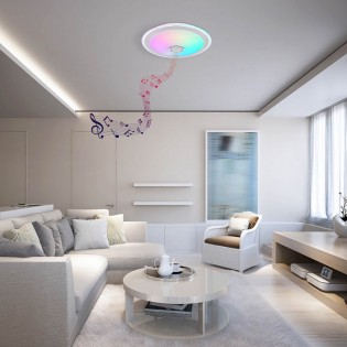 Flush light LED Dunny RGB CCT (24W)