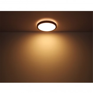 Flush light LED Bruno CCT (12W)
