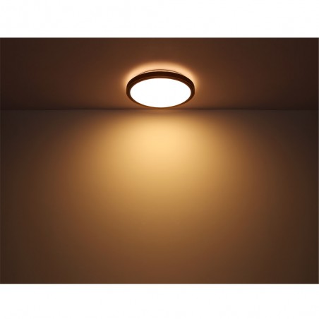 Flush light LED Bruno CCT (12W)