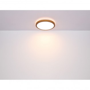 Flush light LED Bruno CCT (12W)