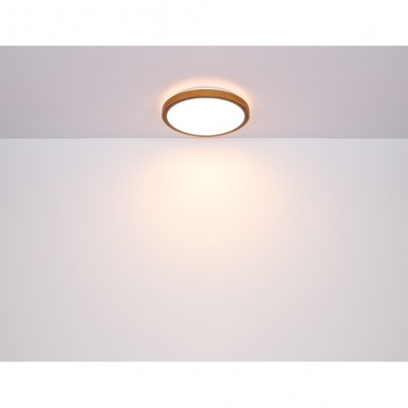 Flush light LED Bruno CCT (12W)