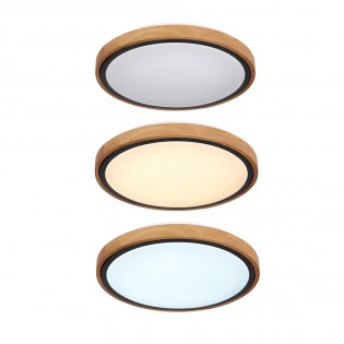 Plafón de techo LED Bruno (12W)