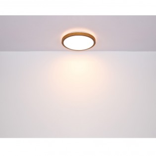 Plafón de techo LED Bruno (24W)