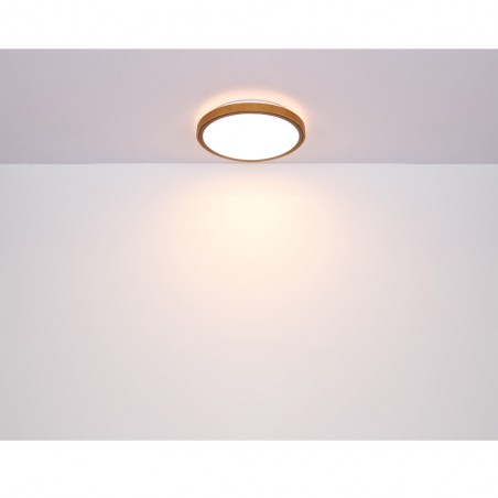 Plafón de techo LED Bruno (24W)