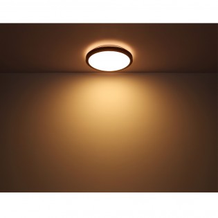 Plafón de techo LED Bruno (24W)
