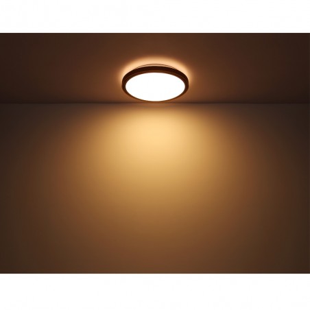 Plafón de techo LED Bruno (24W)