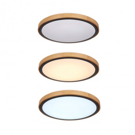 Plafón de techo LED Bruno (24W)