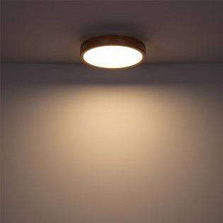 Flush light LED Rainer CCT (24W)