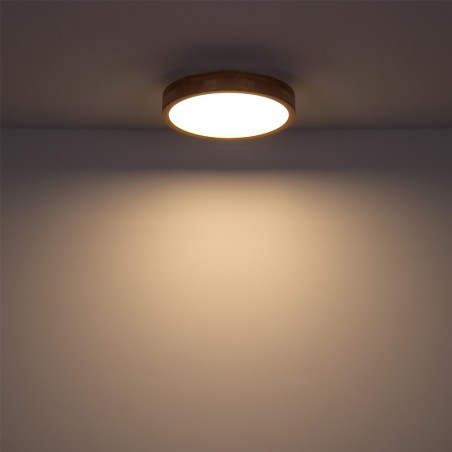 Flush light LED Rainer CCT (24W)