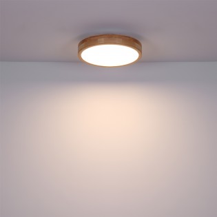 Flush light LED Rainer CCT (24W)