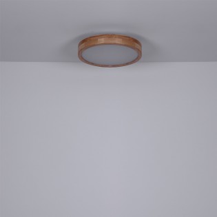 Plafón de techo LED Rainer (24W)