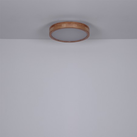 Flush light LED Rainer CCT (24W)