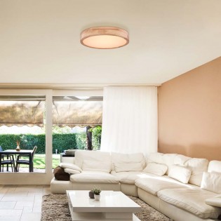 Plafón de techo LED Rainer (24W)