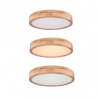 Flush light LED Rainer CCT (24W)