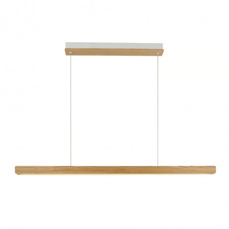 LED Pendant Lamp Ilgas