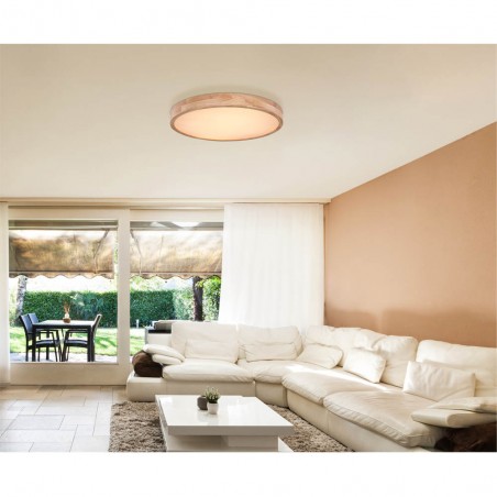 Flush light LED Rainer CCT (48W)