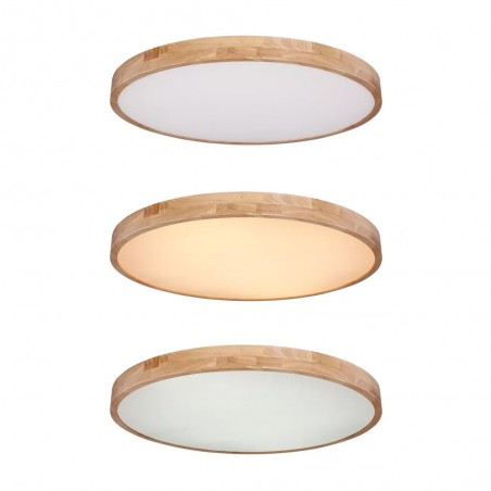 Plafón de techo LED Rainer (60W)