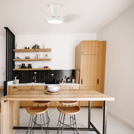 Ventilador de techo LED Reel CCT Dim (20W)